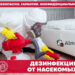 дезинфекция клопов