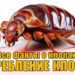 уничтожение клопов
